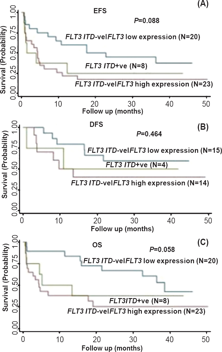 Survival of patients with FLT3 ITD positive vs FLT3 ITD negative and high FLT3 expression vs FLT3 ITD negative and low FLT3 expression: [event free survival, EFS (P=0.088) (A), disease free survival, DFS (P=0.464) (B), and overall survival, OS (P=0.058) (C)]. Median values of FLT3 surface expression (percentage) were used as cut-off point for categorization into high or low expression.